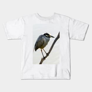 Yellow-crowned Night Heron Resting On A Branch Kids T-Shirt